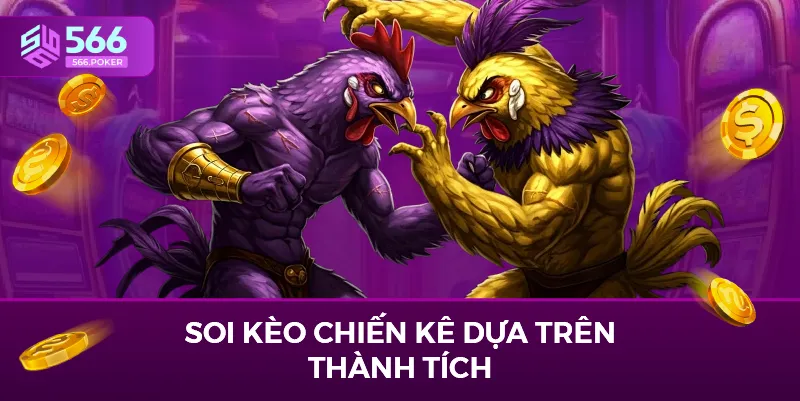 Soi kèo chiến kê dựa trên thành tích